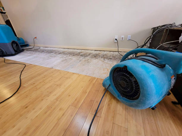 Professional Emergency Water Damage technician working in Fairview, OH